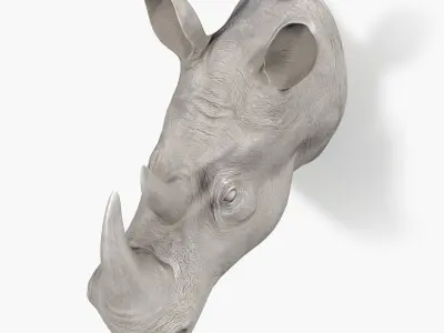 Rhinoceros wall decor 3D model