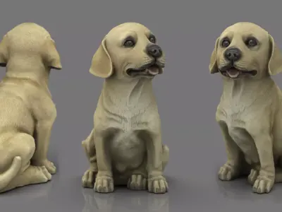 LABRADOR retriever Low-poly 3D model