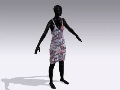 Woman Cloth Dress Low-poly 3D model buy