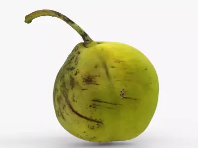 Photorealistic 3D scan of ripe green pear with stem Low-poly 3D model