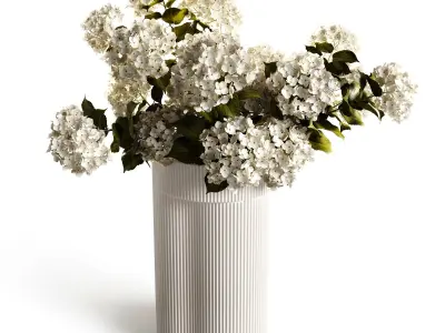 A bouquet of hydrangea 2 3D model