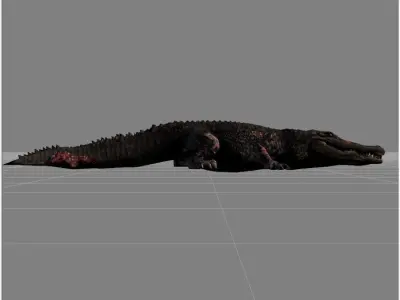 Alligator v1 Low-poly 3D model