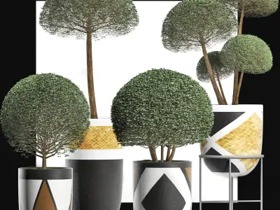 Plants Collection 195 Ligustrum 3D model