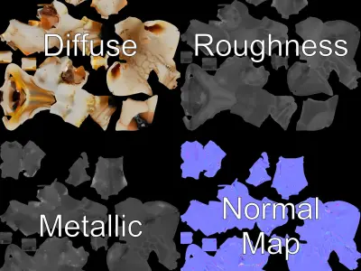 Giraffe Skull Model Pack with Detailed Bone Texture Low-poly 3D model