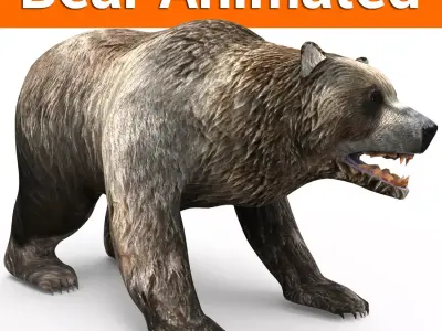 Bear Rigged and animated 3D Low-poly 3D model