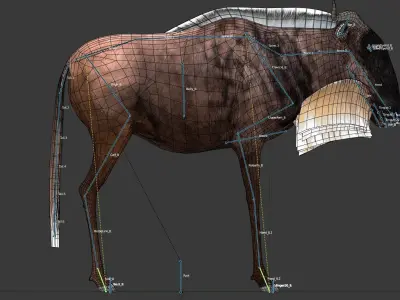 Wildebeest Low-poly 3D model