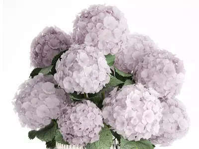 Modern Realistic Bouquet Vase  Lilac Pink Hydrange 613 3D model