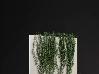 555555 ivy growing on wall Free 3D model