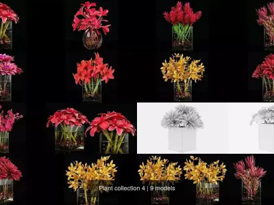 Plant collection 4 flowers in glass vase