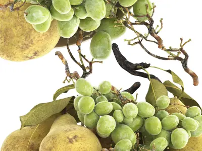 bowl of pears and grapes 3D model