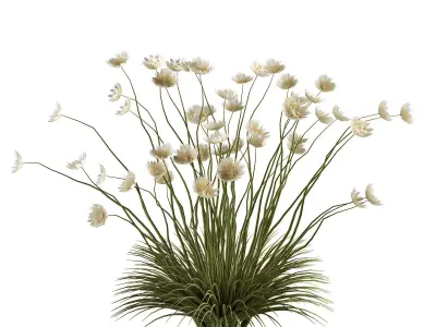 bush 7-2 3D model