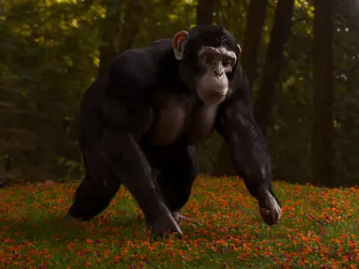 Realistic Ape  Rigged 3D Character For Blender Low-poly 3D model