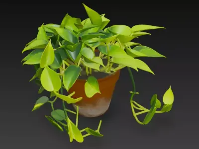 Realistic 3D Pothos Money Plant in Clay Pot 3D model