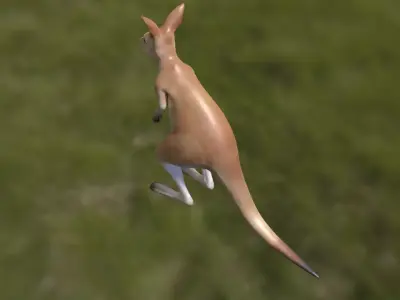 Kangaroo with 3 animations Low-poly 3D model