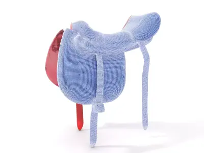 Floral Pink Saddle model pack Low-poly 3D model