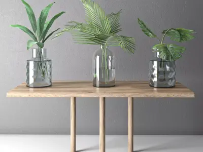 decorative plant collection on wooden stand  3D model