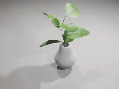 Decorative Plants 3D model
