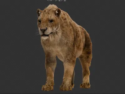 Smilodon Saber-toothed Tiger 3D model