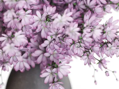 Bouquet 52 3D model