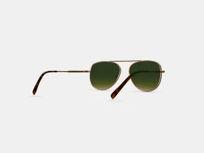 Belmar Sunglasses in Polished Gold 3D model