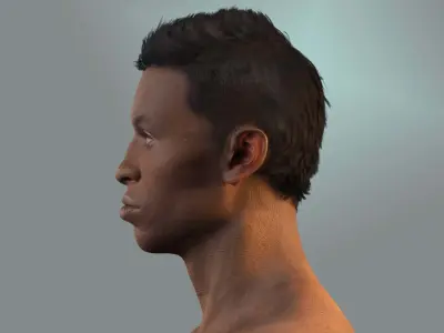 Realistic Construction Worker in Safety Gear Low-poly 3D model