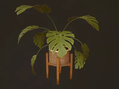 Monstera Plant - PBR Game Ready Low-poly 3D model