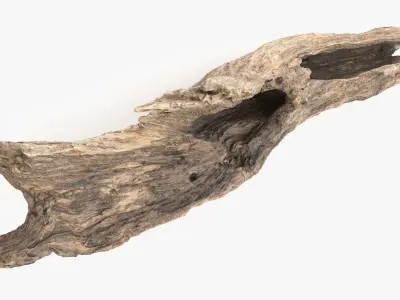 Snag Root Hideout Low-poly 3D model