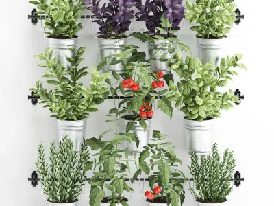 Decorative plants for the kitchen on railing 380 1 3D model