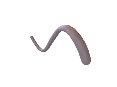 Cat Tail v1 001 Low-poly 3D model