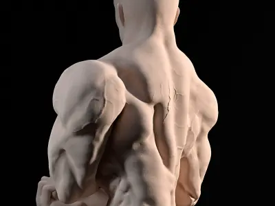 Bodybuilder Side Chest Pose 3D print model