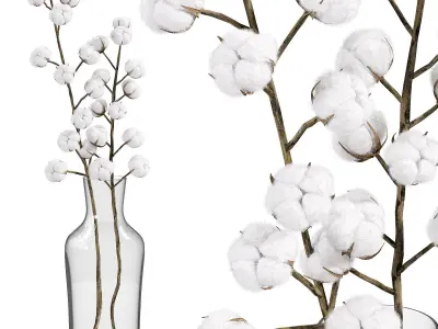  cotton bouquet   3D model