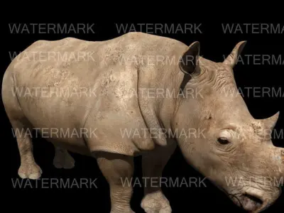 The Ultimate rhino - 3d rhinoceros model 3D model