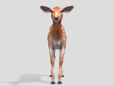 Deer - Doe Low-poly 3D model