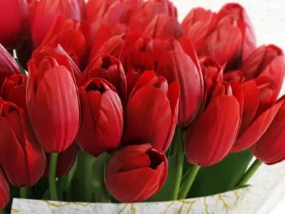 Flower Set 30 - Red Tulips Bouquet 3D model