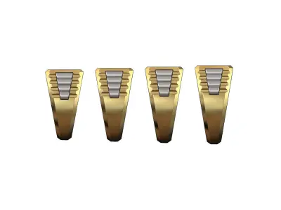 Square presidential link inserts blank signet US sizes 7to10 3D print model