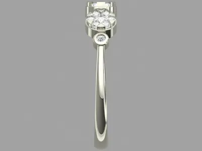 PRESSURE SETTING RING 01 3D print model