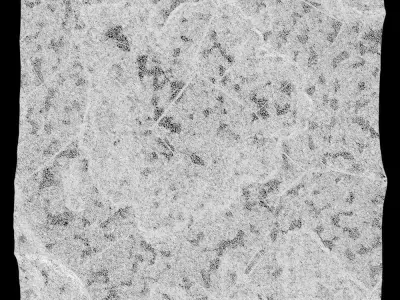 372-RockPanel sandstone wall texture 3D model