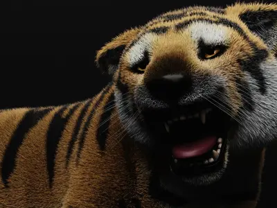 TIGER  RIGGED - ANIMATED 3D model