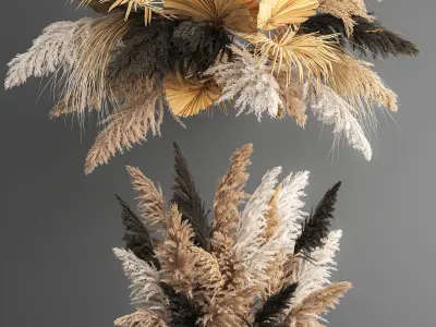 Hanging decor of their dried pampas grass 188 3D model