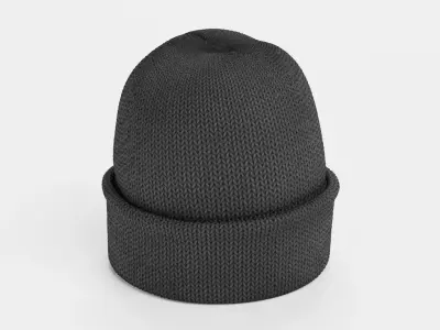 Winter Hat V1 - Dark Knitted Beanie with Folded Cuff 3D model
