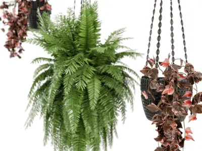 Indoor Plants in rusty Concrete Pot with Macrame - Set 29  3D model