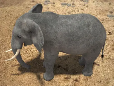 African Elephant Rigged for 3dsmax 3D model