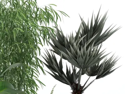 Plants collection 132 3D model
