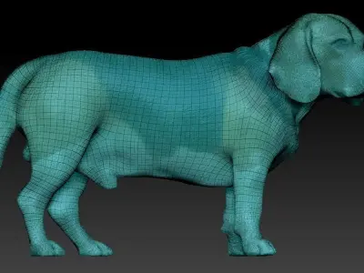 Beagle dog 09 Low-poly 3D model