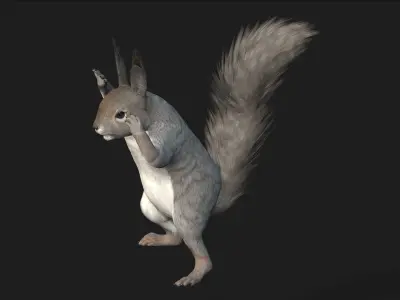 Squirrel-A1 3D model