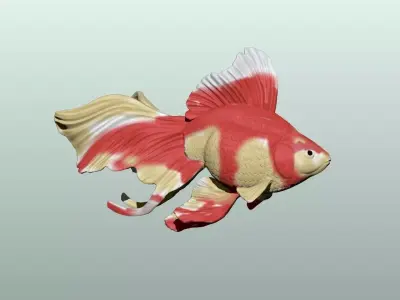 Goldfish Pose 1 3D print model