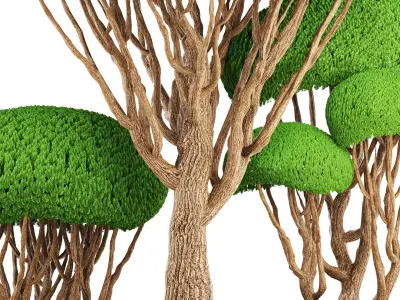 bonsai tree  3D model