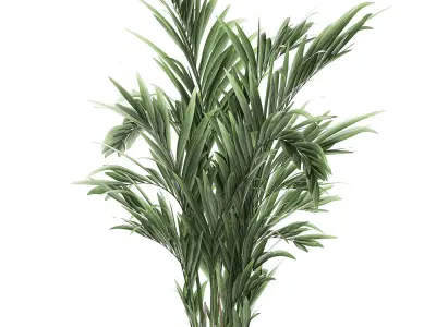 Decorative palm in a flowerpot 693 3D model