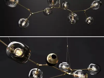Branching bubble and Branching burst 3D model