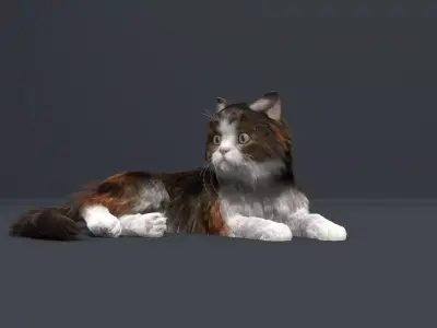 Cat Fur Rig 3D model